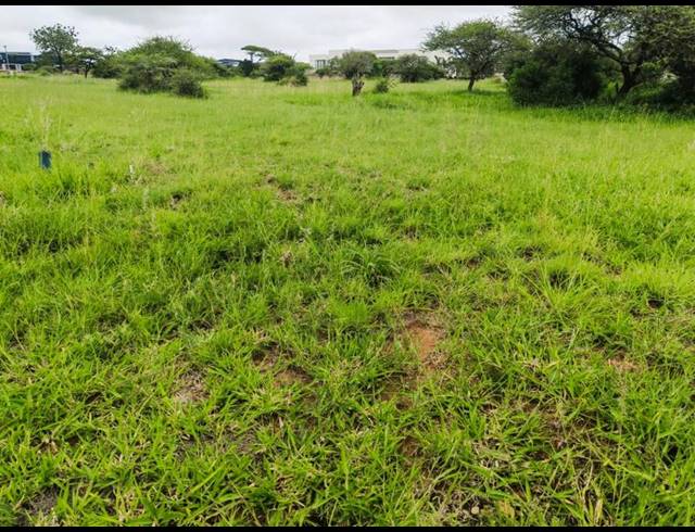 LAND FOR SALE IN THE ALOES LIFESTYLE ESTATE